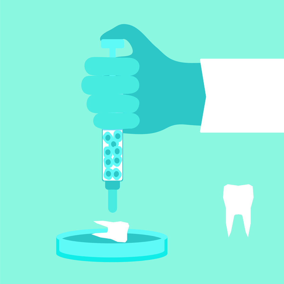Regenerative medicine concept. Stock vector illustration of a doctor's hand growing a new tooth from stem cells in petri dish.